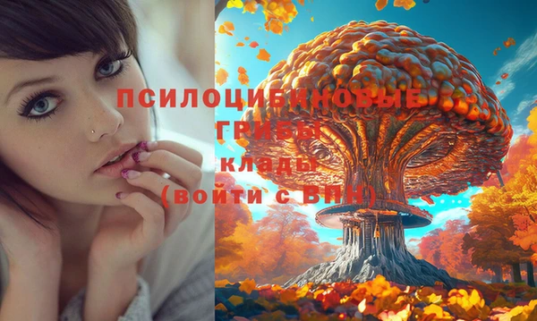 МДПВ Белоозёрский