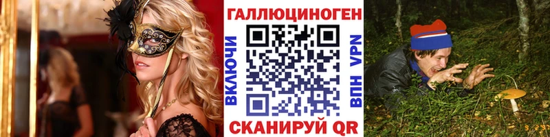 где купить   Котовск  Псилоцибиновые грибы Cubensis 